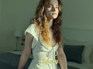 Ellywey