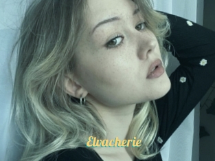 Elvacherie