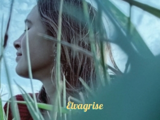 Elvagrise