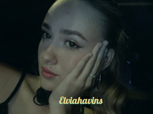 Elviahavins