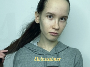 Elvinaabner