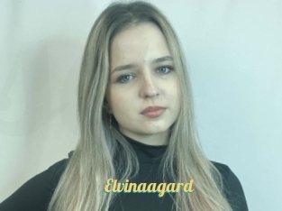 Elvinaagard
