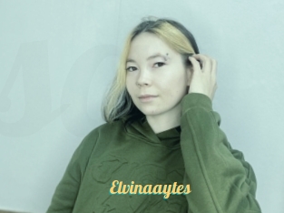 Elvinaaytes