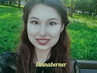Elvinaberner