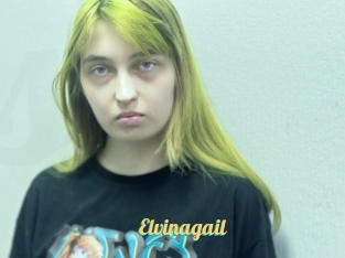Elvinagail