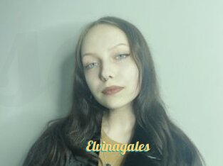 Elvinagales