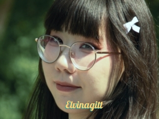 Elvinagitt