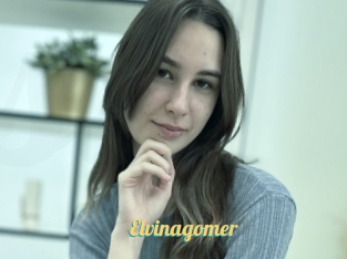Elvinagomer