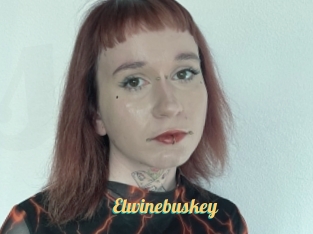 Elwinebuskey