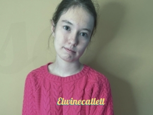 Elwinecatlett