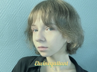 Elwinegallant