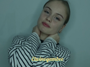 Elwinegambee