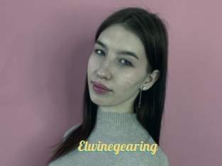 Elwinegearing