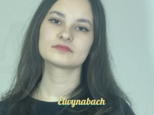 Elwynabach