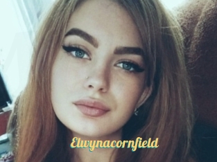 Elwynacornfield