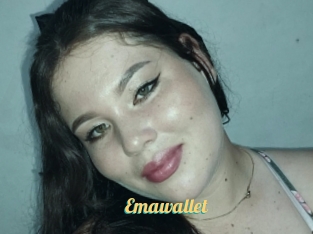 Emawallet