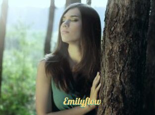 Emilyflow