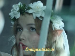 Emilywaldstein