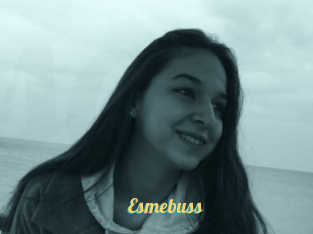 Esmebuss