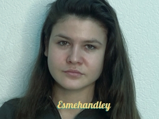 Esmehandley