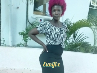 Eunifix