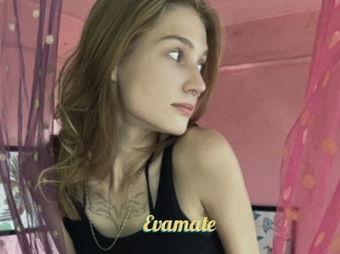 Evamate