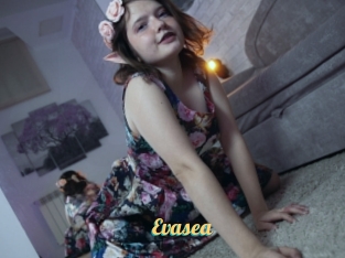 Evasea
