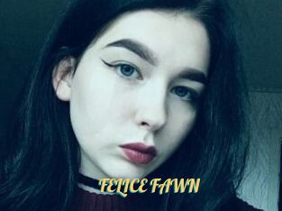 FELICE_FAWN