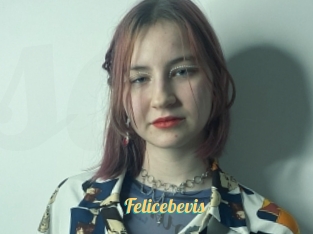 Felicebevis