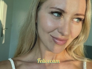 Felicecam
