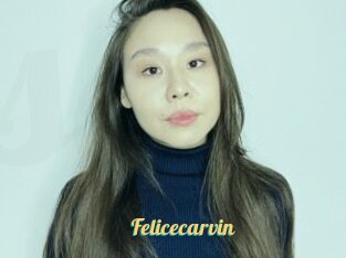Felicecarvin