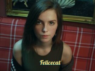 Felicecat