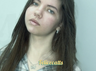 Felicecatts