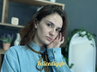 Felicediggle