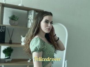 Felicedrover