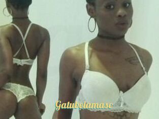 Gatubela_masc