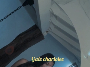 Gate_charlotee