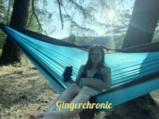 Gingerchronic