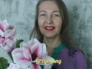 Greybunny
