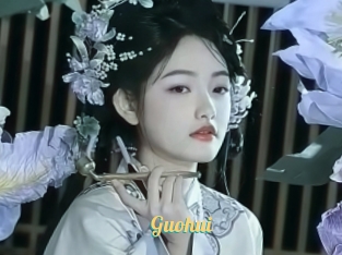 Guohui