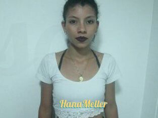 HanaMeller