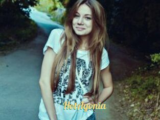 HotAgonia