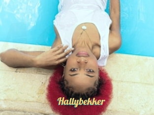 Hallybekker