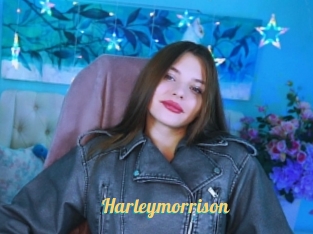 Harleymorrison