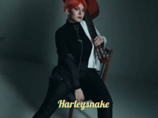Harleysnake