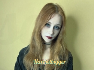Harrietbigger