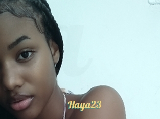 Haya23