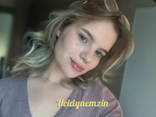 Heidynemzin