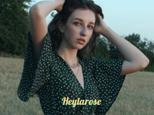 Heylarose