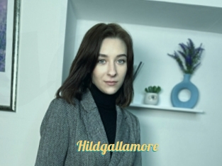 Hildgallamore